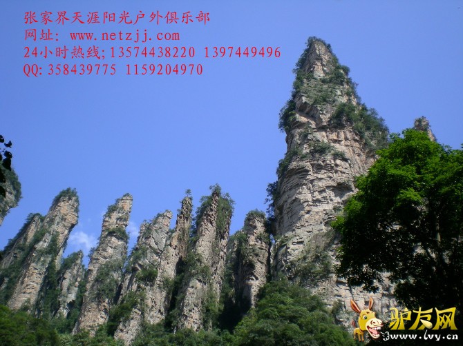 psb (22)_����.jpg